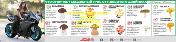 альфа пвп Дмитриев