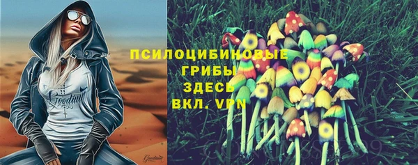 MDMA Premium VHQ Дмитровск