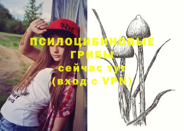 альфа пвп Дмитриев
