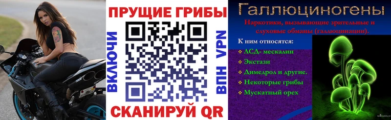 Псилоцибиновые грибы Magic Shrooms  Купить  Кувандык 